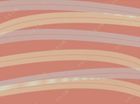 p6.jpg
